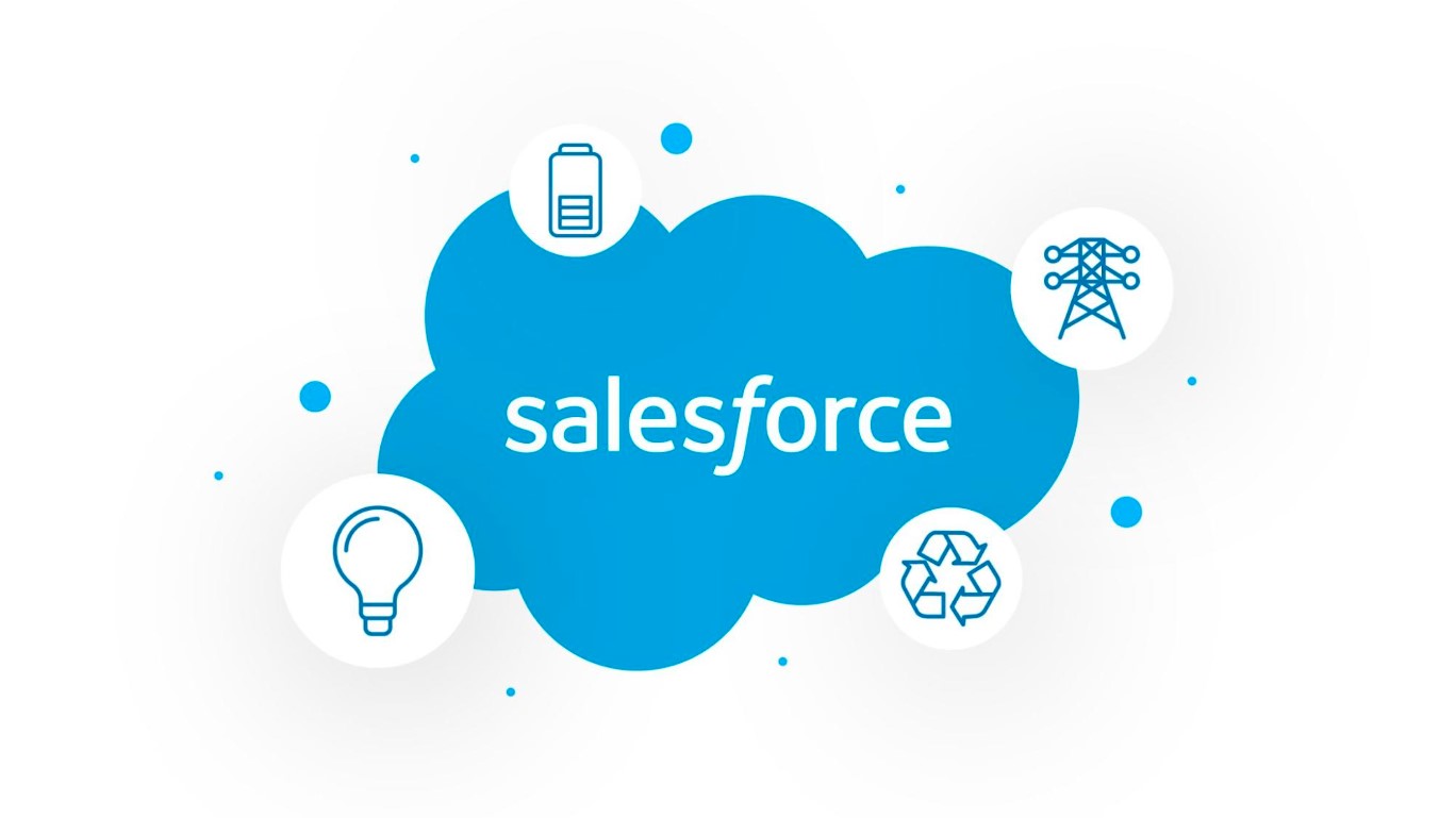 Salesforce Nonprofit Solution